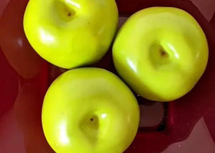 La Calma * Σίτζες