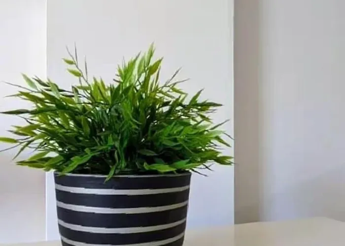 公寓 La Calma 锡切斯