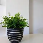 Apartman La Calma Sitges